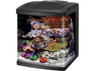 Coralife LED BioCube Aquarium Kit 16-Gallons